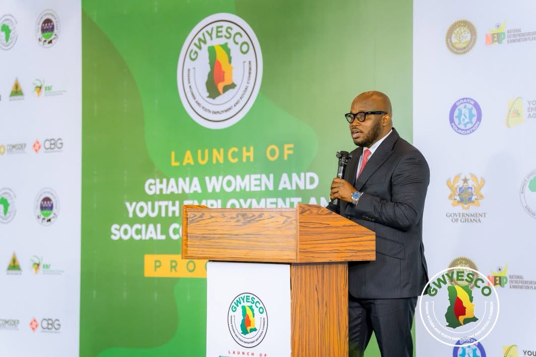 GWYESCO programme launch